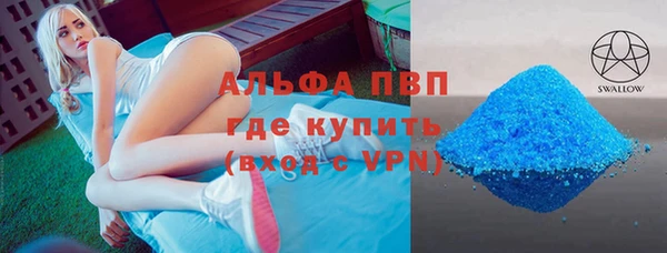 индика Волоколамск