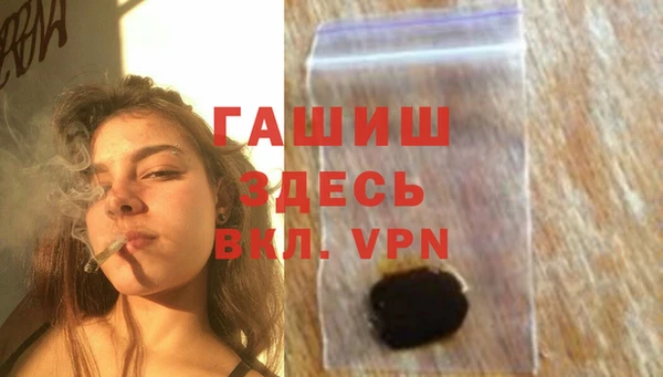 индика Волоколамск