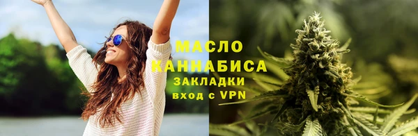 индика Волоколамск