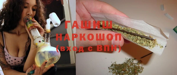 индика Волоколамск