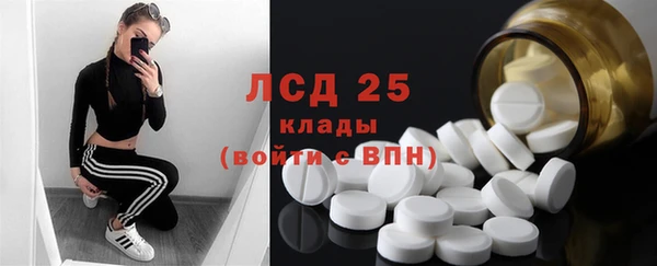 индика Волоколамск
