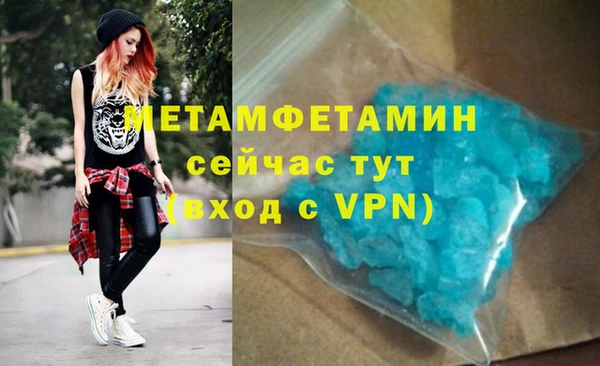 индика Волоколамск