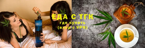 индика Волоколамск