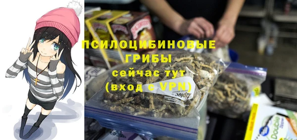 PSILOCYBIN Володарск