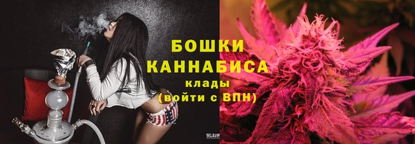 индика Волоколамск