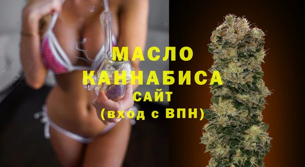 индика Волоколамск