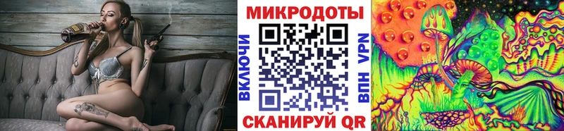 Псилоцибиновые грибы Cubensis  Ноябрьск 